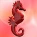 seahorse_2.jpg image by annetteblair